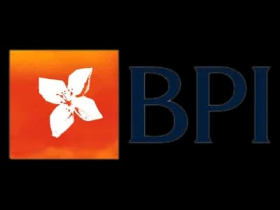 logo-bpi-2